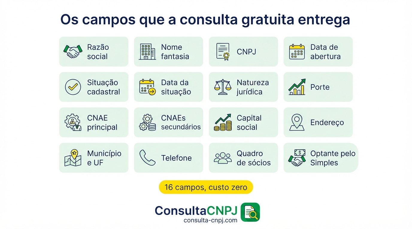 Painel com os campos públicos da consulta CNPJ grátis: razão social, situação cadastral, data de abertura, CNAE, endereço, porte, capital social e quadro de sócios