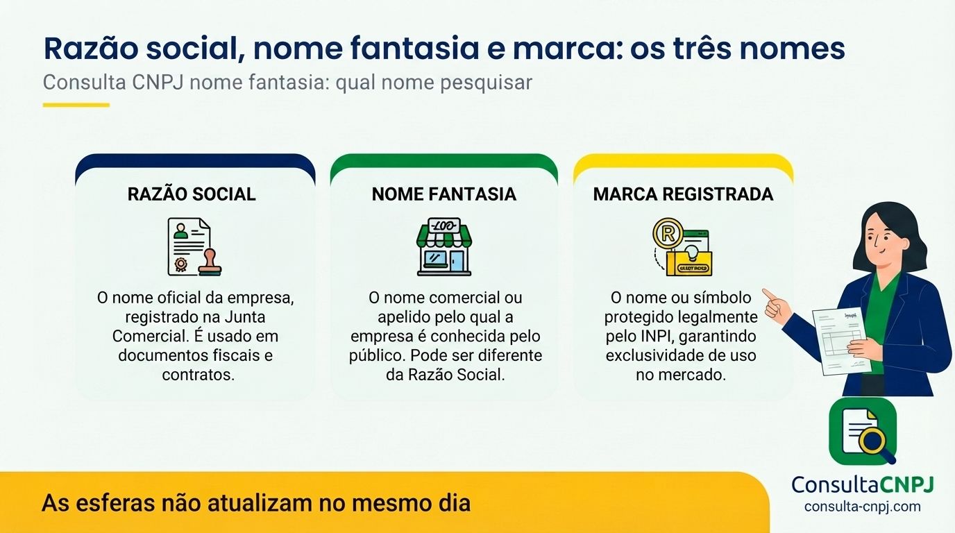 Comparação entre razão social, nome fantasia e marca registrada na consulta CNPJ por nome, mostrando onde cada nome é registrado